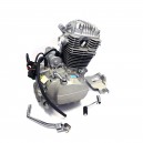 Kompletní motor pro Pitbike 250ccm (CB250D-G)